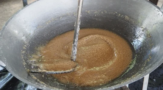 ココナッツオイル作り体験